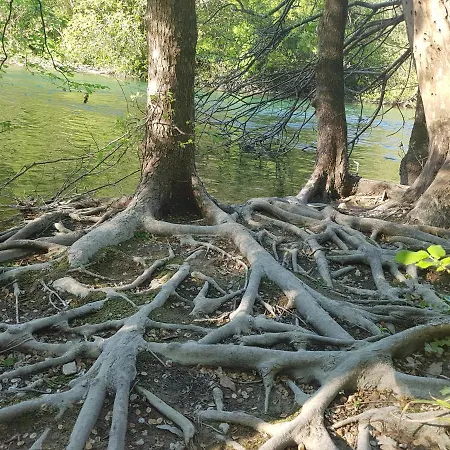 شقة Old Town Hesed *