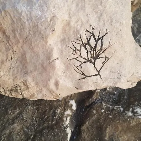 Old Town Hesed Διαμέρισμα *