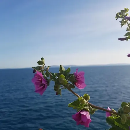 Old Town Hesed Split